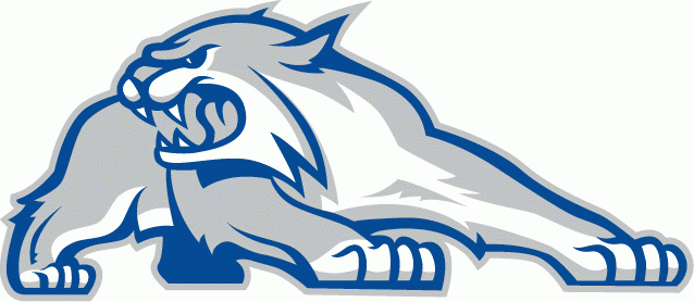 New Hampshire Wildcats 2000-Pres Alternate Logo v2 iron on transfers for fabric